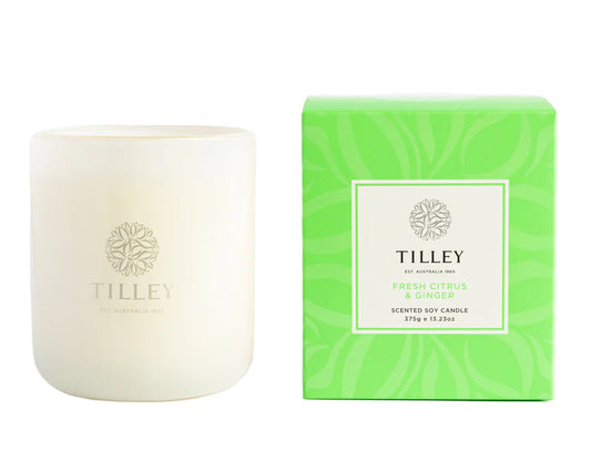 Tilley | Candle 375gm | Fresh Cirtus & Ginger