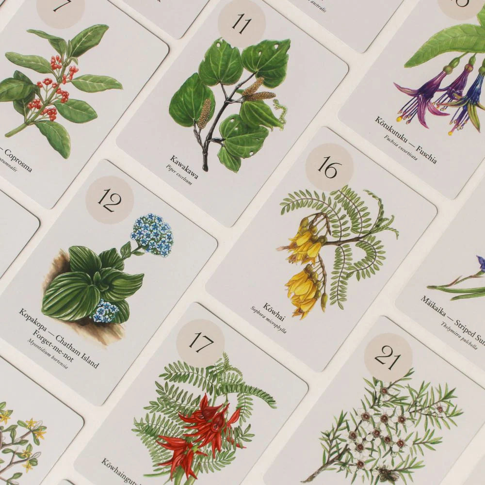 Connor Collection | Botanical Bingo